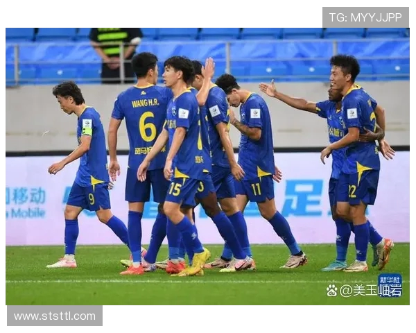 南京足球队个人能力分析与战术配合的深度探讨