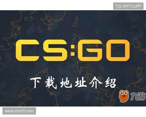 杨丽独家分享：深入解析CSGO游戏技巧与心得体会