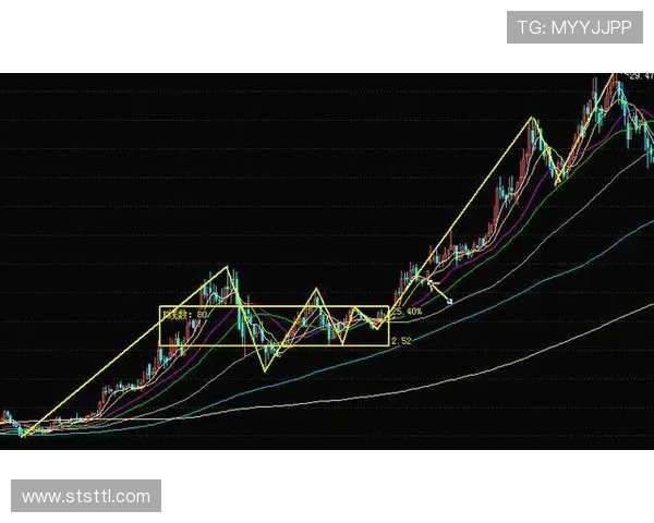 深入分析北京飞盘队防守反击战术的独特魅力与实战应用