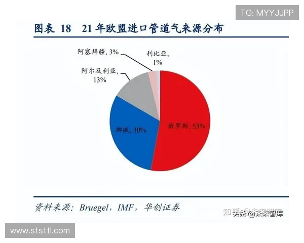 深度分析LNG市场转型策略与未来发展趋势探讨