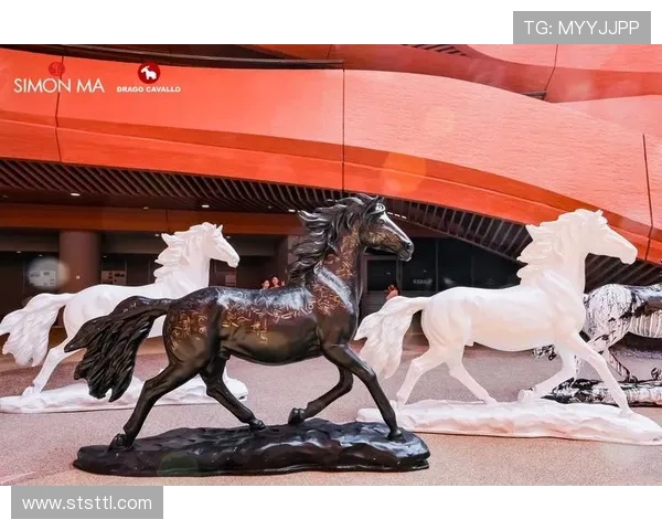 攀岩之路上的坚韧与梦想：杨秀英的深度对话与人生探索